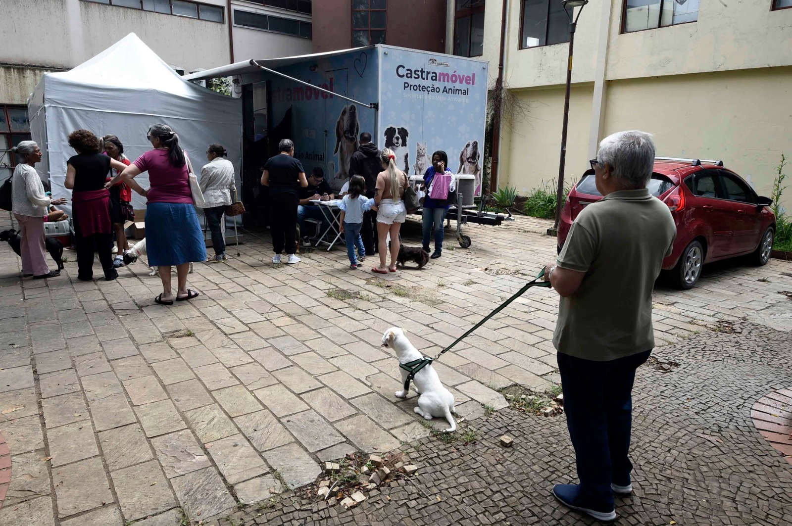 Castrapet oferece castração gratuita para pets em bonsucesso