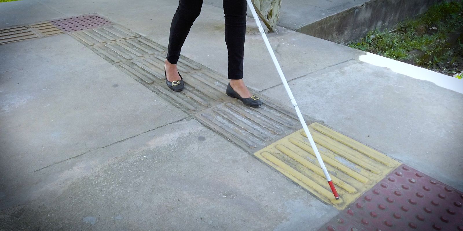 Dezembro em destaque: aids, deficiência, legado cultural e luta por direitos